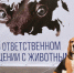 Об ответственности за ненадлежащее содержание животных. - Немский муниципальный округ